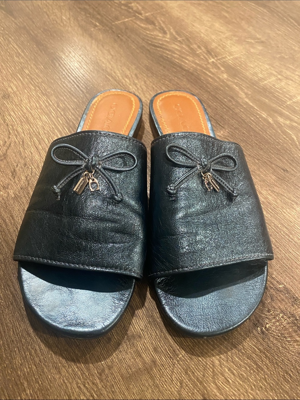 Metallic blue Slide Sandals with Bow Accent - Women